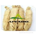 Panax Ginseng Extract